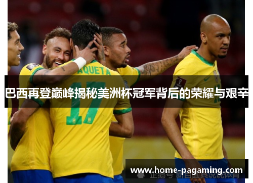 巴西再登巅峰揭秘美洲杯冠军背后的荣耀与艰辛 巴西再登巅峰揭秘美洲杯冠军背后的荣耀与艰辛
