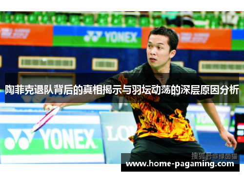 陶菲克退队背后的真相揭示与羽坛动荡的深层原因分析 陶菲克退队背后的真相揭示与羽坛动荡的深层原因分析