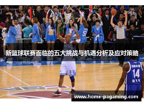 新篮球联赛面临的五大挑战与机遇分析及应对策略