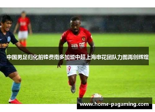 中国男足归化前锋费南多加盟中超上海申花团队力图再创辉煌 中国男足归化前锋费南多加盟中超上海申花团队力图再创辉煌