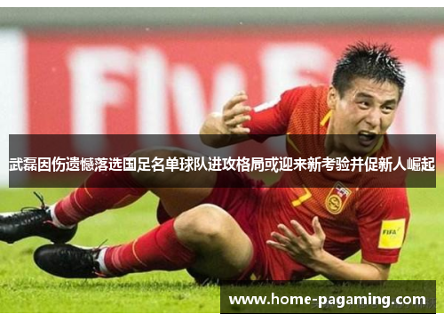 武磊因伤遗憾落选国足名单球队进攻格局或迎来新考验并促新人崛起
