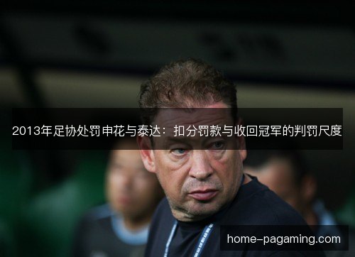2013年足协处罚申花与泰达：扣分罚款与收回冠军的判罚尺度